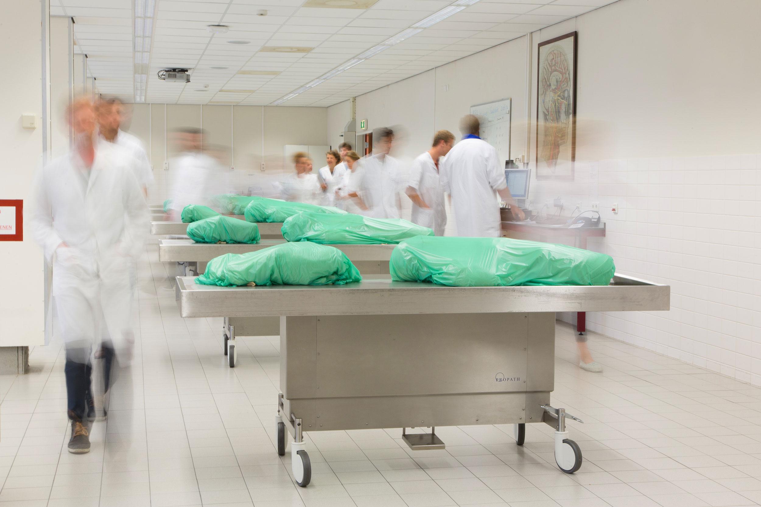 Enatom: the anatomy atlas of the future in one app