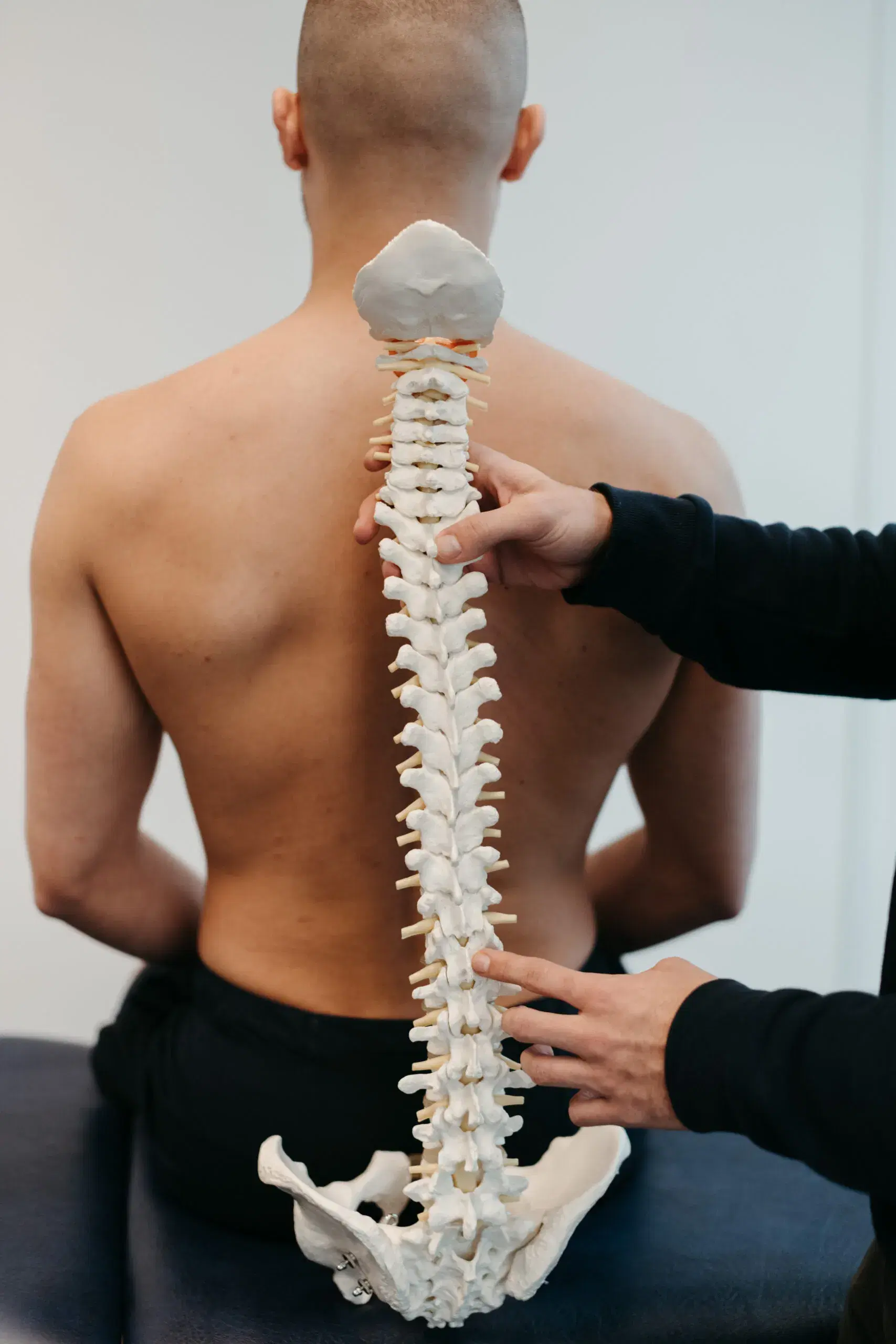 Kostenlose Informationsveranstaltung: Von der Physiotherapie zur Osteopathie: Eine andere Art zu denken