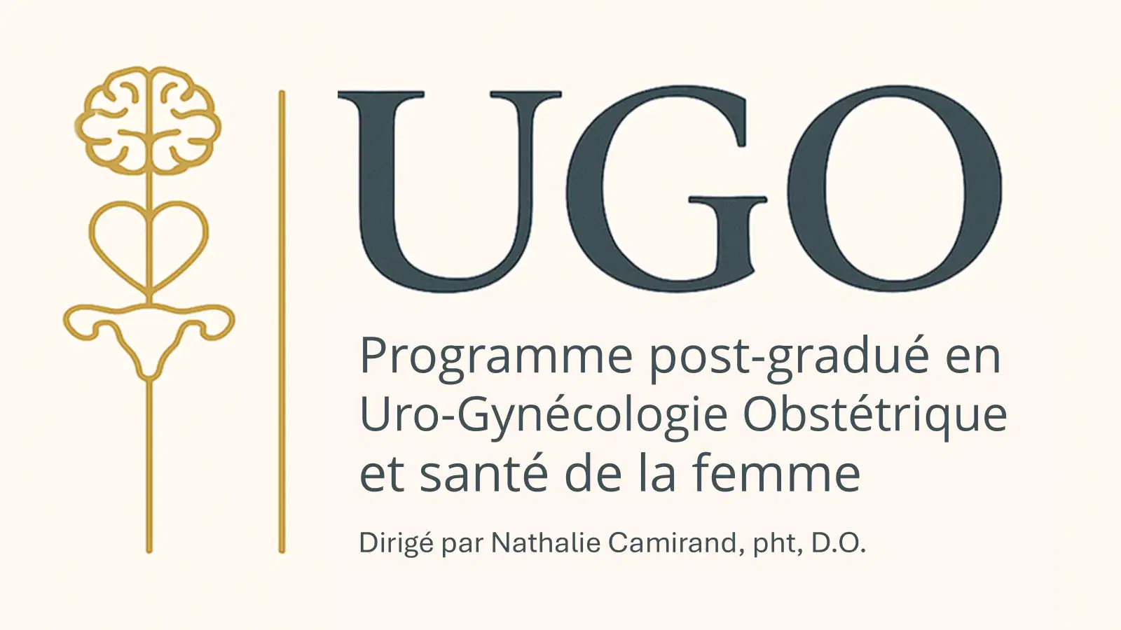 Formation UGO: programme de spécialité ostéopathique en uro-gynéco-obstétrique et santé de la femme