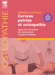 Cerveau pelvien et ostéopathie